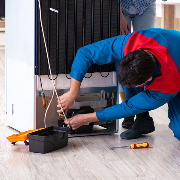how do you diagnose a problem with a refrigerator in New Ulm TX